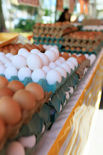 vitamin d foods eggs milk fish