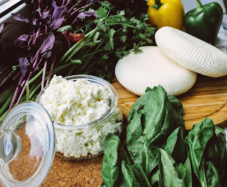 calcium rich foods healthy diet