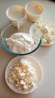 calcium rich foods milk paneer dahi