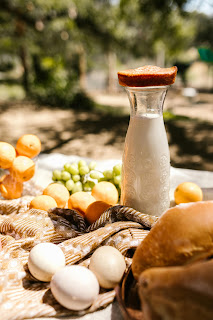 vitamin b12 rich foods eggs milk fish
